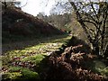 SX6871 : Track below Venford Reservoir by Derek Harper