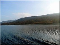 NN4409 : The southern shore of Loch Katrine by Gordon Brown