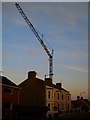 Crane, Princetown Road [2]