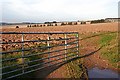 Ploughed Field at Logie