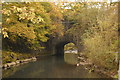 Railway viaduct over the River Dulais