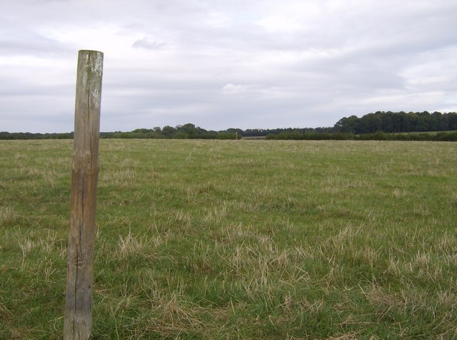 Footpath marker post
