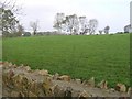 Crabarkey Townland