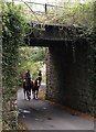 Horses and bridge at Meldon