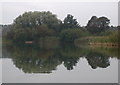 Motorway Pond, Newport