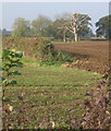 Fields near The Well House