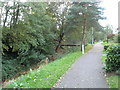 Footpath by stream through Herne Farm Estate