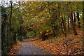 Path, Antrim town