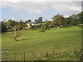 Field and house, Laugharne