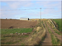 NO5804 : Farm Track by Sandy Gemmill