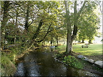 W6075 : Blarney River in Blarney Castle's Grounds by Andy Beecroft