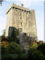 W6075 : Blarney Castle's South East Corner by Andy Beecroft
