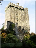 W6075 : Blarney Castle's South East Corner by Andy Beecroft