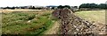 TF3464 : Bolingbroke Castle 360° - 1 of 3 by Dave Hitchborne