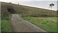 The railway embankment at Far Stanley