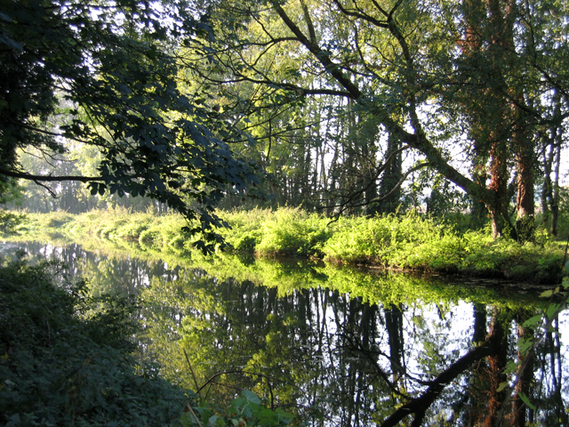 River Cam in autumn, Trumpington, Cambs