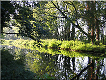 TL4354 : River Cam in autumn, Trumpington, Cambs by Rodney Burton