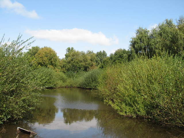 Small Pond, Halewood Triangle © Sue Adair :: Geograph Britain and Ireland