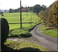 View along Fen Lane from close to Chapel Farm