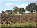 Field rising from Fen Lane