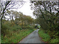 Looking towards the Holsworthy road near Derriton