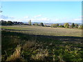 Footpath View - Across Field towards Balmoak Lane and Grove Road