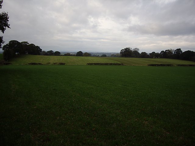 View over fields