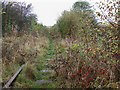 Disused Railway, Stockton Brook, Staffordshire