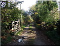 Gateway to Brithdir Mawr