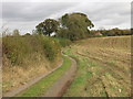 Bridleway near Welshampton