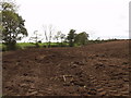 Freshly ploughed field