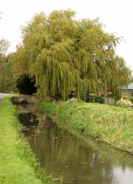 A stream near Alvingham