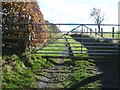 Track to Ty Coch