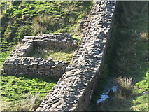 NY7567 : Hadrian's Wall and turret near Peel (4) by Mike Quinn