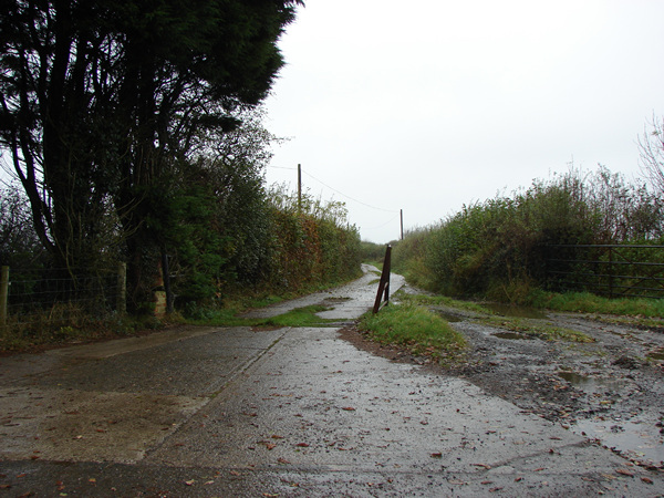 Farm access road east of Holsworthy Beacon
