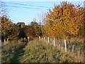 Footpath gate from Revels Fields, Bishopstone