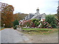 Cottages at junction of Hallhill road with Edzell road