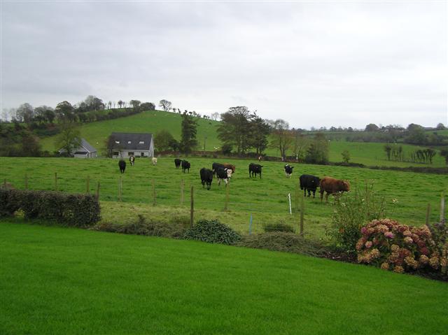 Lismulrevy Townland
