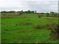 Lisarnlet Townland