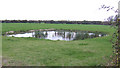 Pond in a field