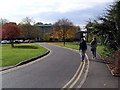 Ancaster Hall Drive - University of Nottingham