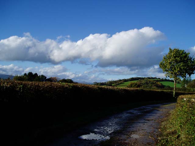 Footpath leading to Castle Farm, Usk