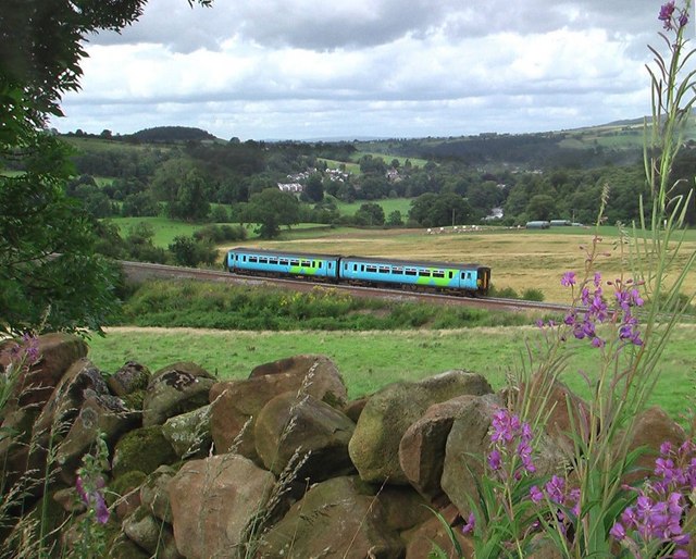 The Settle and Carlisle Railway at Baron Wood