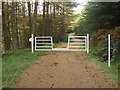 Gate on bridleway