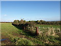 View from Boag road, Kilbirnie