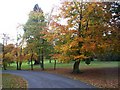 Autumn in Eden Villa Park, Bachelors Park, Portadown