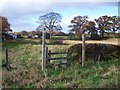 Footpath Near Mucleton