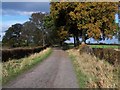 Bridleway Near Muckleton