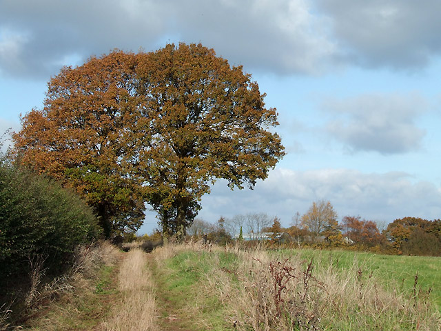 Track and Public Footpath, near Chetton, Shropshire