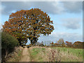 Track and Public Footpath, near Chetton, Shropshire